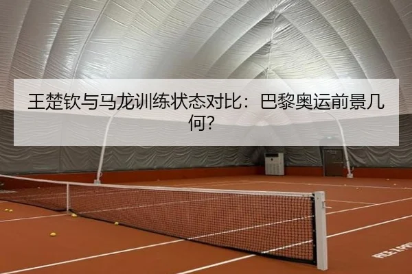 王楚钦与马龙训练状态对比：巴黎奥运前景几何？