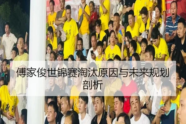 傅家俊世锦赛淘汰原因与未来规划剖析